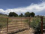 1668 18 Road - Photo 15