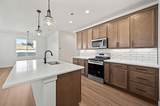 210 Shadow Mesa Street - Photo 11