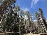 375 Balsam Road - Photo 6