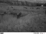 37444 Polson Road - Photo 42