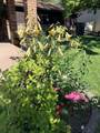3815 Applewood Street - Photo 30