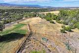 16143 Kimball Creek Road - Photo 41