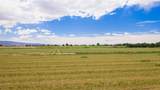1063 24 Road - Photo 12