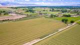 1063 24 Road - Photo 8