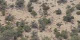 929 CR 215 Parachute - Photo 13
