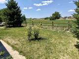 52494 Carnation Road - Photo 32