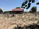 52494 Carnation Road - Photo 38