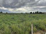 52494 Carnation Road - Photo 42