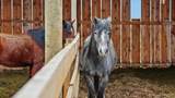 3365 C Road - Photo 40