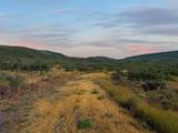 6286 Old Grand Mesa Road - Photo 13