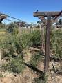 887 23 Road - Photo 6