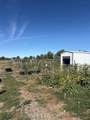 887 23 Road - Photo 7