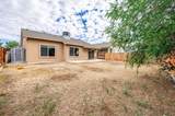 3031 Prickly Pear Drive - Photo 25
