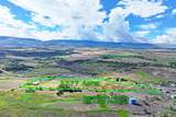 15510 59 1/2 Road - Photo 24