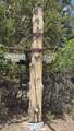 118 Pika Lane - Photo 2