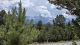 118 Pika Lane - Photo 3