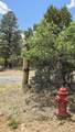 118 Pika Lane - Photo 5