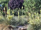 685 Crestridge Drive - Photo 28