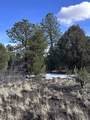 1960 Marmot Drive - Photo 11