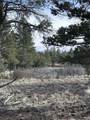 1960 Marmot Drive - Photo 12