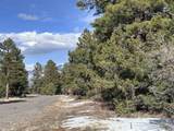 1960 Marmot Drive - Photo 7