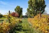 1166 17 1/2 Road - Photo 37