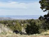 4511 16 1/2 Road - Photo 33