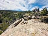 4511 16 1/2 Road - Photo 36
