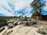 4511 16 1/2 Road - Photo 7