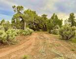 4665 9 8/10 Road - Photo 6