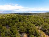 Lot 16 Elk Reserve Road - Photo 5