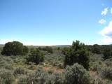 15310 Ds Road - Photo 1