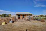 694 29 1/2 Road - Photo 22