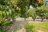 139 6th Street - Photo 21