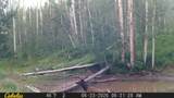 2586 26 1/10 Road - Photo 37