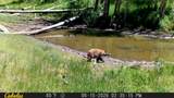 2586 26 1/10 Road - Photo 40