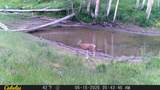 2586 26 1/10 Road - Photo 41