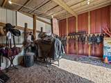 41990 Cottonwood Creek Road - Photo 11