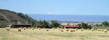 11694 Trap Club Road - Photo 2