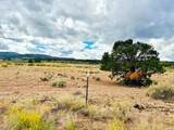 16321 Elk Drive - Photo 25