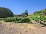 3697 F Road - Photo 23