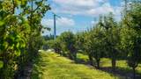 3376 C Road - Photo 10