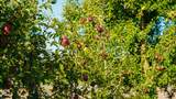 3376 C Road - Photo 12