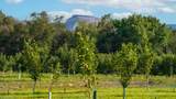 3376 C Road - Photo 8