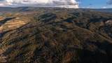 10795 52 1/2 Road - Photo 28