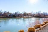 3150 Lakeside Drive - Photo 23
