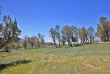 58798 Delores Drive - Photo 7