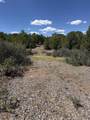 TBD Pine Drive - Photo 12