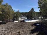 TBD Pine Drive - Photo 15