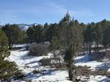 TBD Pine Drive - Photo 16